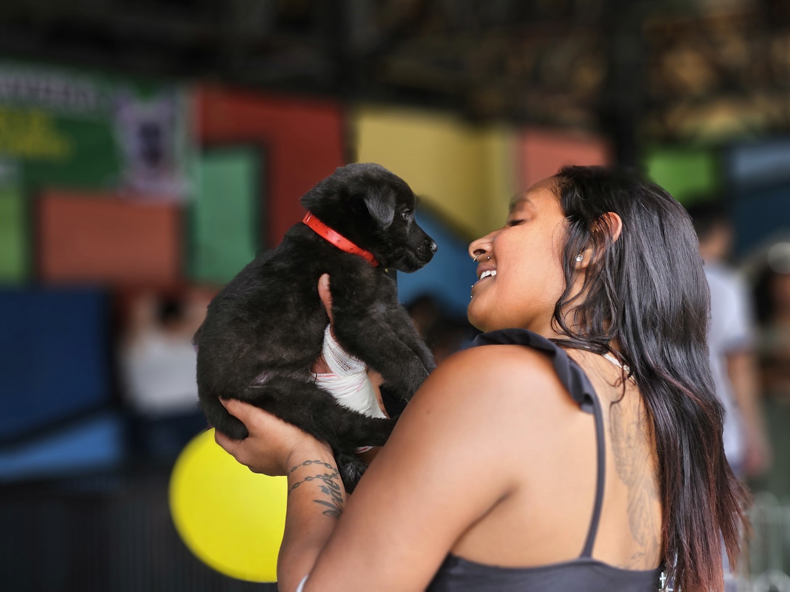 Ribeirão Pires realiza Feira de Adoção de Cães e Gatos neste sábado (25), durante o evento Tigela Cheia no Complexo Ayrton Senna