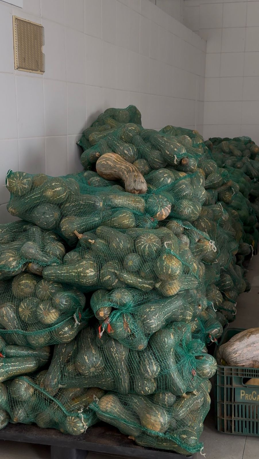 Entidades sociais de São Bernardo recebem 1 tonelada de hortifrútis do Banco de Alimentos Municipal