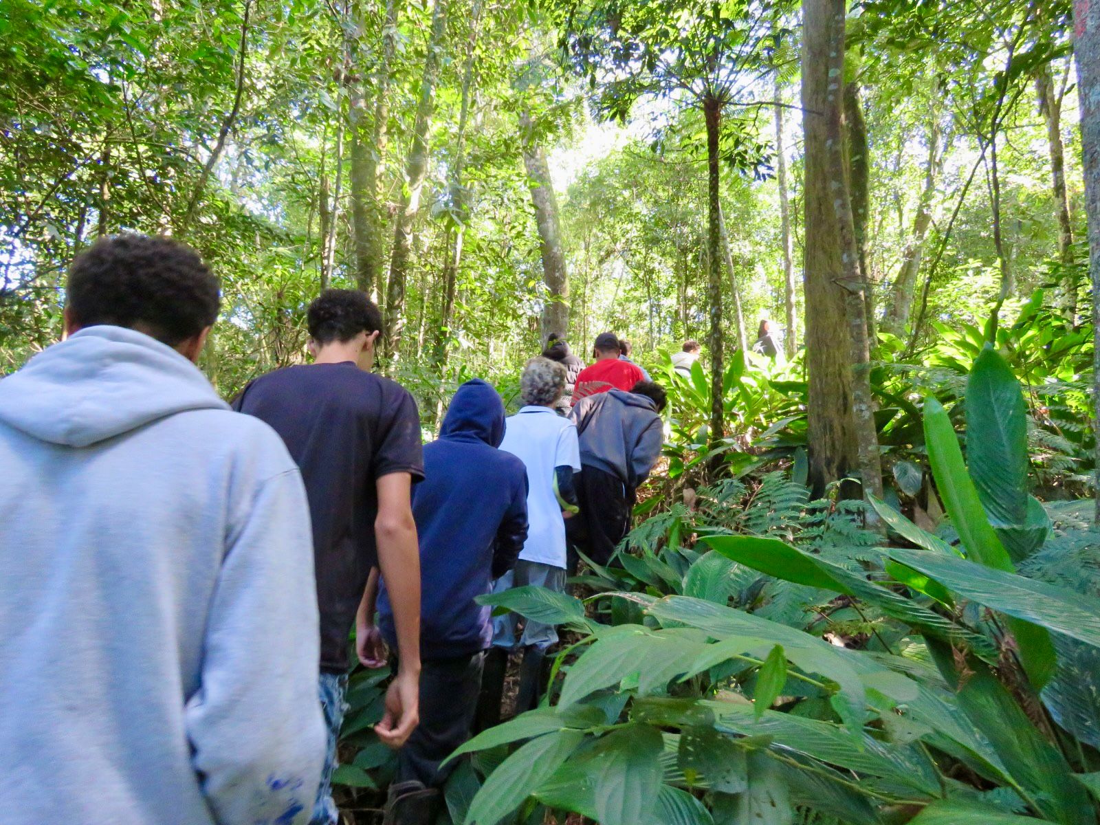 Junho Verde tem programação com quase 80 atrações em Santo André