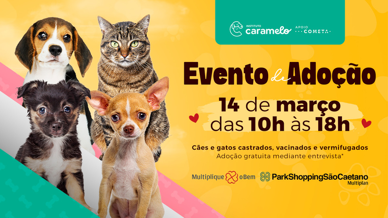 Instituto Caramelo promove evento de adoção com até 50 cães e gatos no ParkShopping São Caetano (SP)