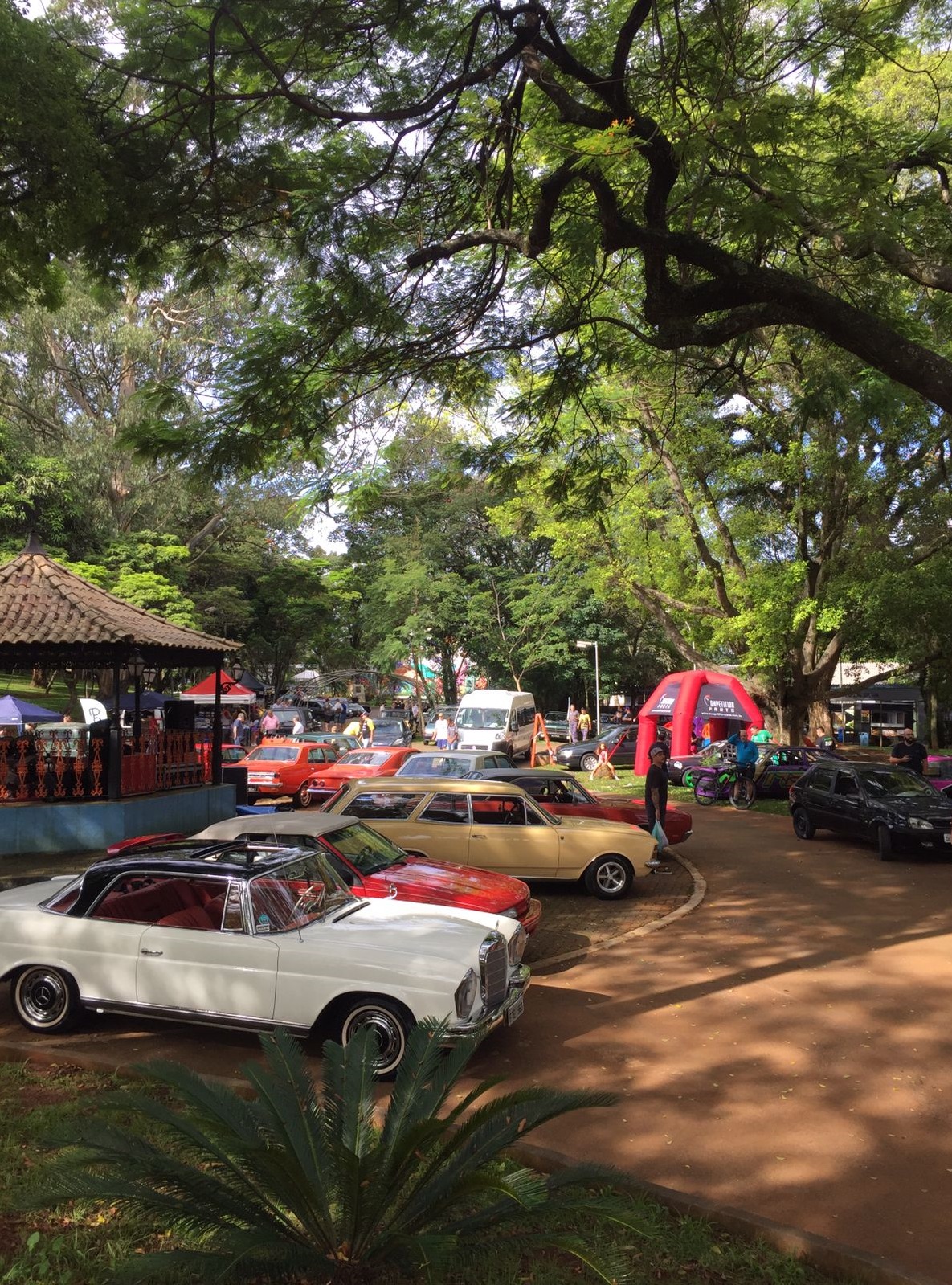 Prefeitura de São Caetano realiza exposição de carros antigos no Bosque do Povo