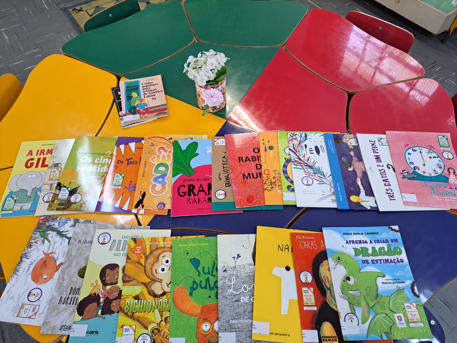 Diadema recebe 5 mil novos livros infantis e renova acervo das bibliotecas