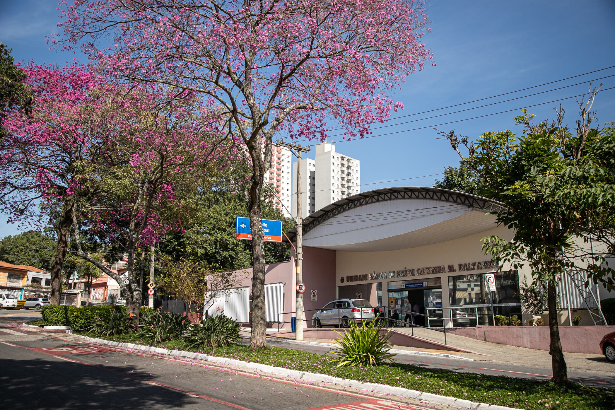 São Caetano realiza dezenas de ações de prevenção e conscientização sobre o câncer de colo de útero no Março Lilás