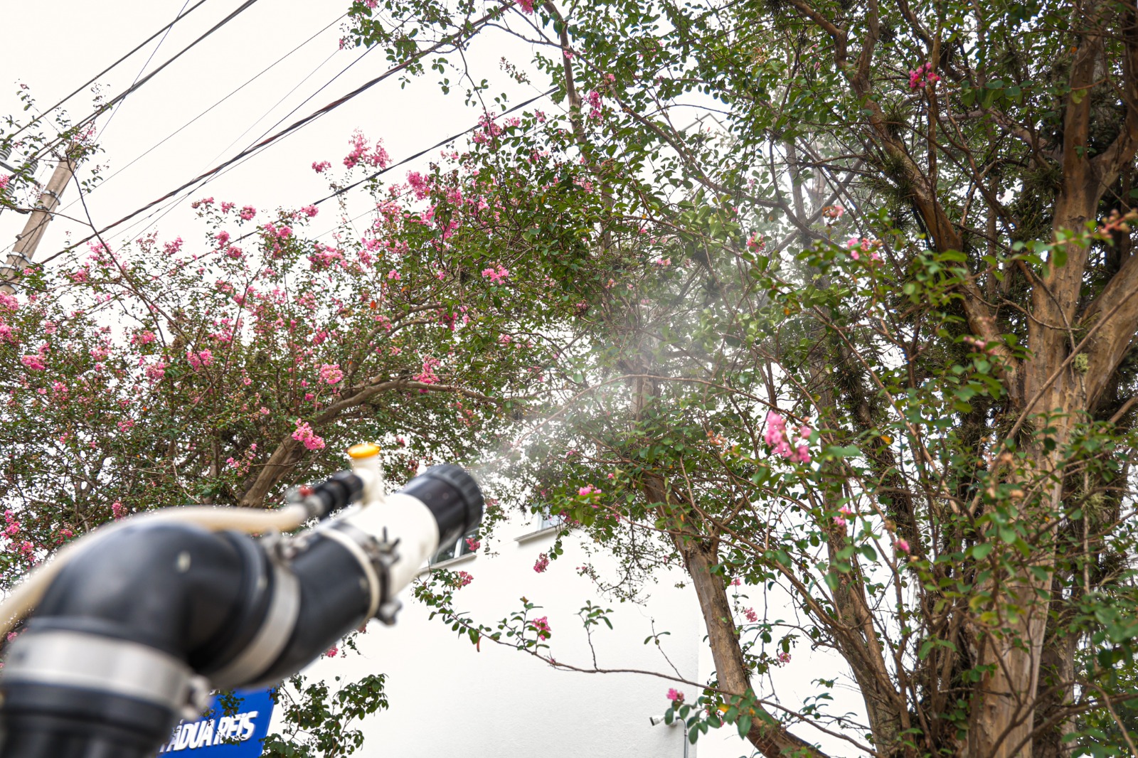 Prefeitura realiza nebulização para combater a dengue em São Caetano