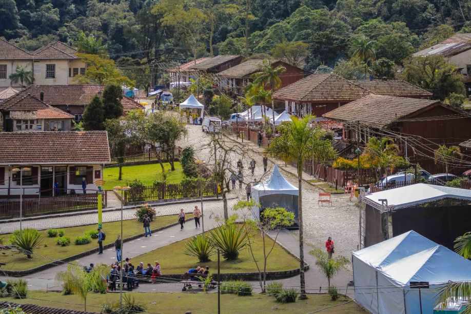 Cirurgias em cães e gatos acontecem nos dias 4 e 8 de abril