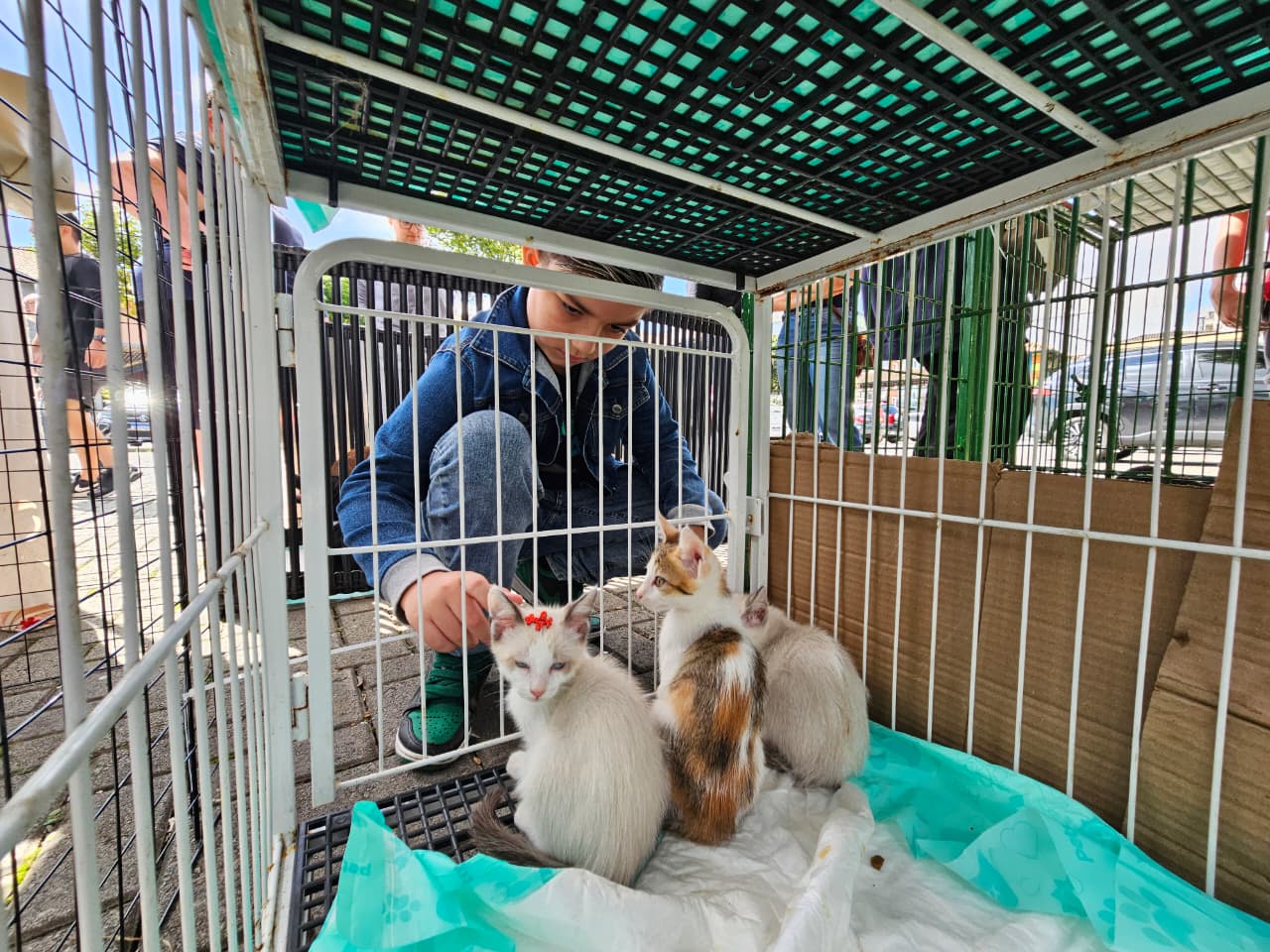 Projeto Tigela Cheia arrecada 350 kg de PET, promove 10 adoções e aplica 35 vacinas em Ribeirão Pires